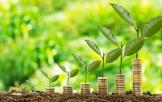 PUVI Farm: Cultivating a Green Revolution for a Sustainable Future in Vietnam