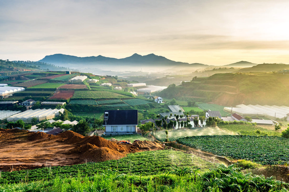 PUVI Farm: Sowing the Seeds of Wellness from the Pure Soul of Vietnam - Your Guide to Holistic Health