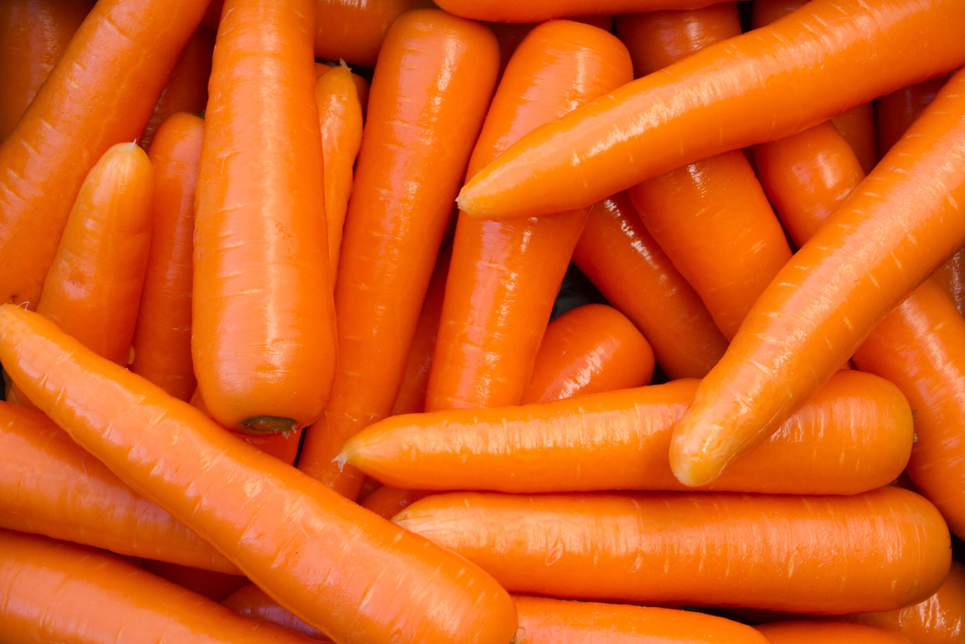 Carrot
