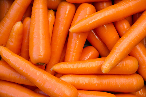 Carrot