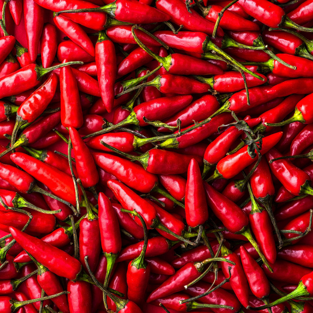 Chili