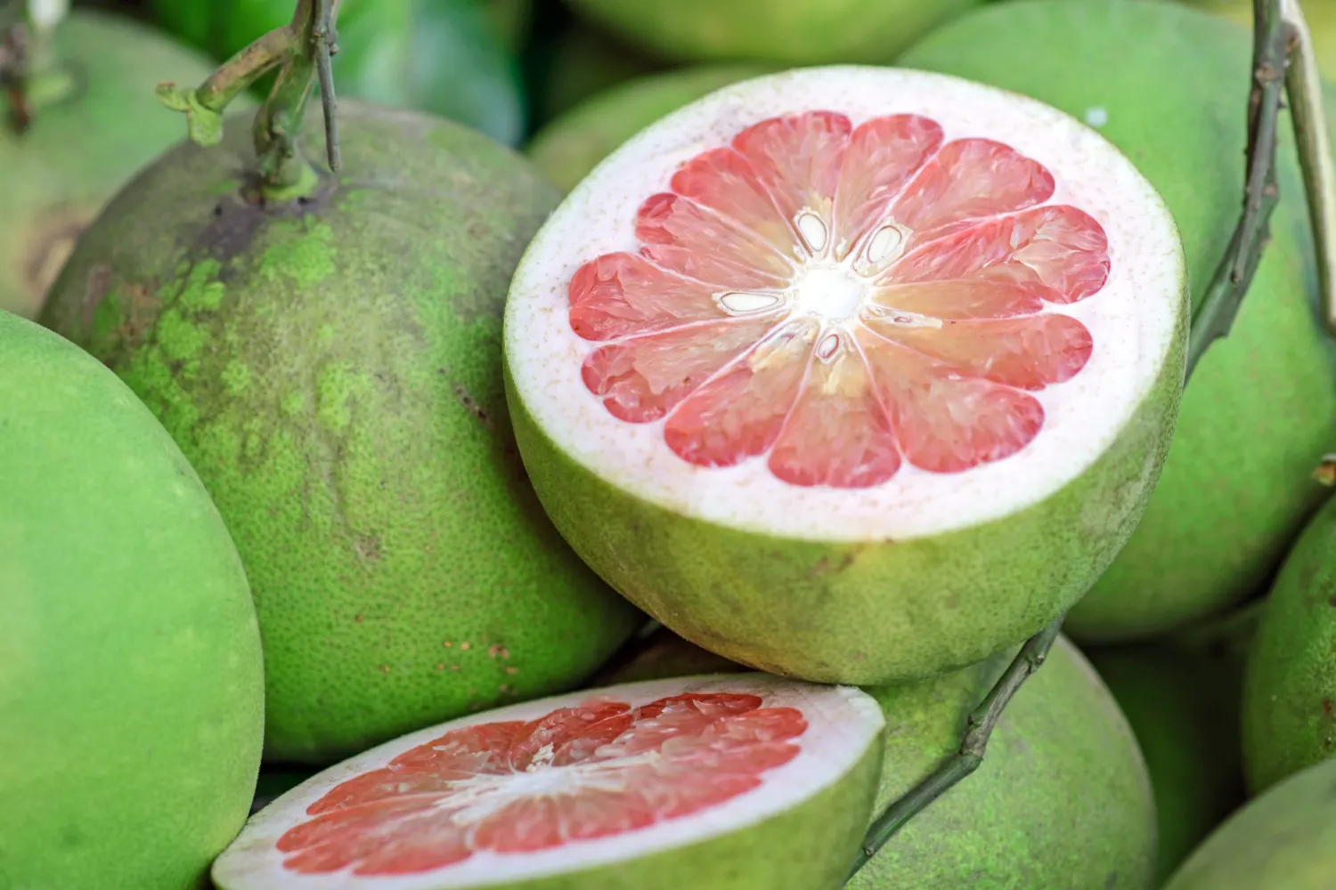 Pomelo