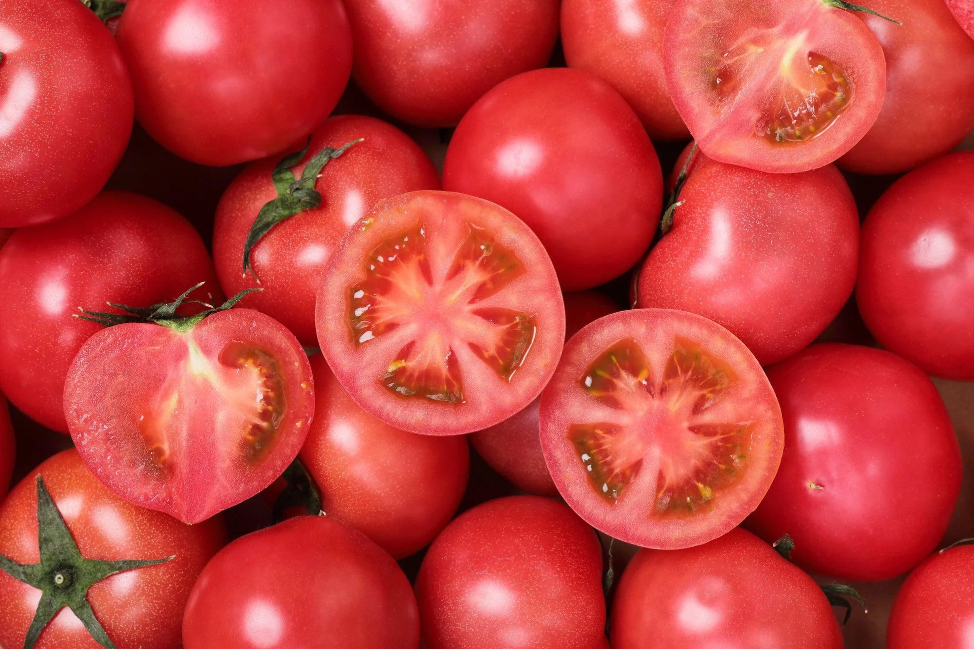 Japanese Tomato